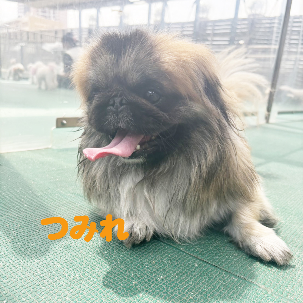 生徒が撮影してくれました♪